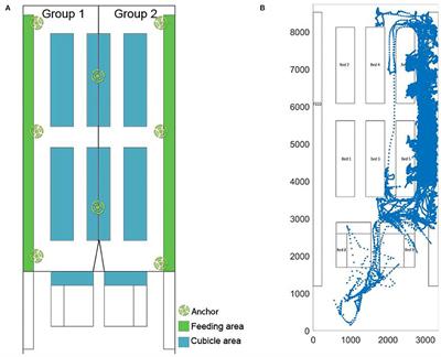Interpolation Methods to Improve Data Quality of Indoor Positioning Data for Dairy Cattle